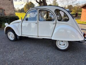 CD0F0477-8D68-4289-BC9D-F85B11312562