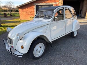 FAC1D28B-AC0F-431A-8309-967FDC81682F